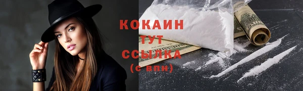 винт Дмитриев