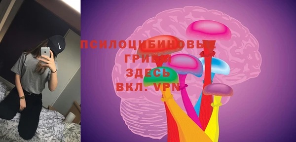 винт Дмитриев